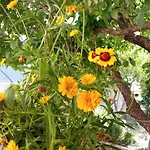 Summer House With Heated Swimming Pool Apartment Mostar