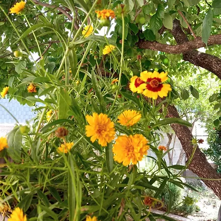 Summer House Appartement Mostar